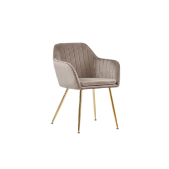 Chaise CANVAS (Pied gold)
